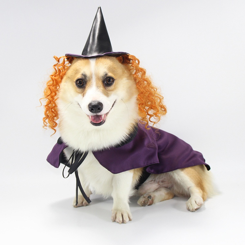 Pet Halloween Wizard Hat and Cloak Pet Costume with Accessories Wig